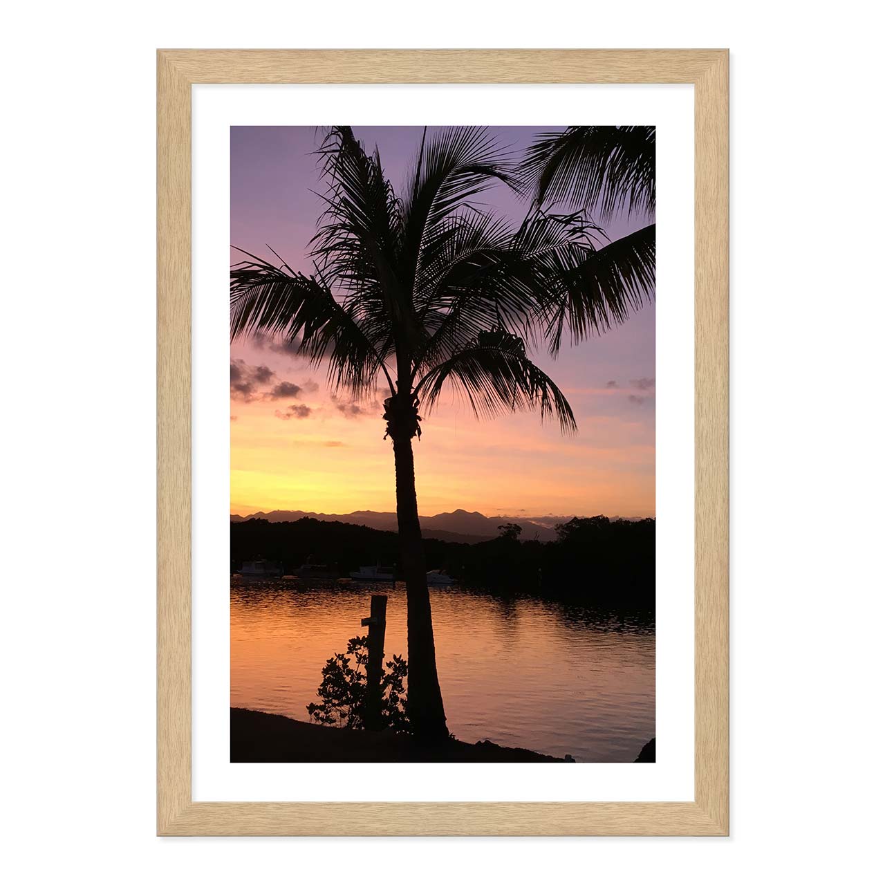 Port Douglas Palm Tree Sunset