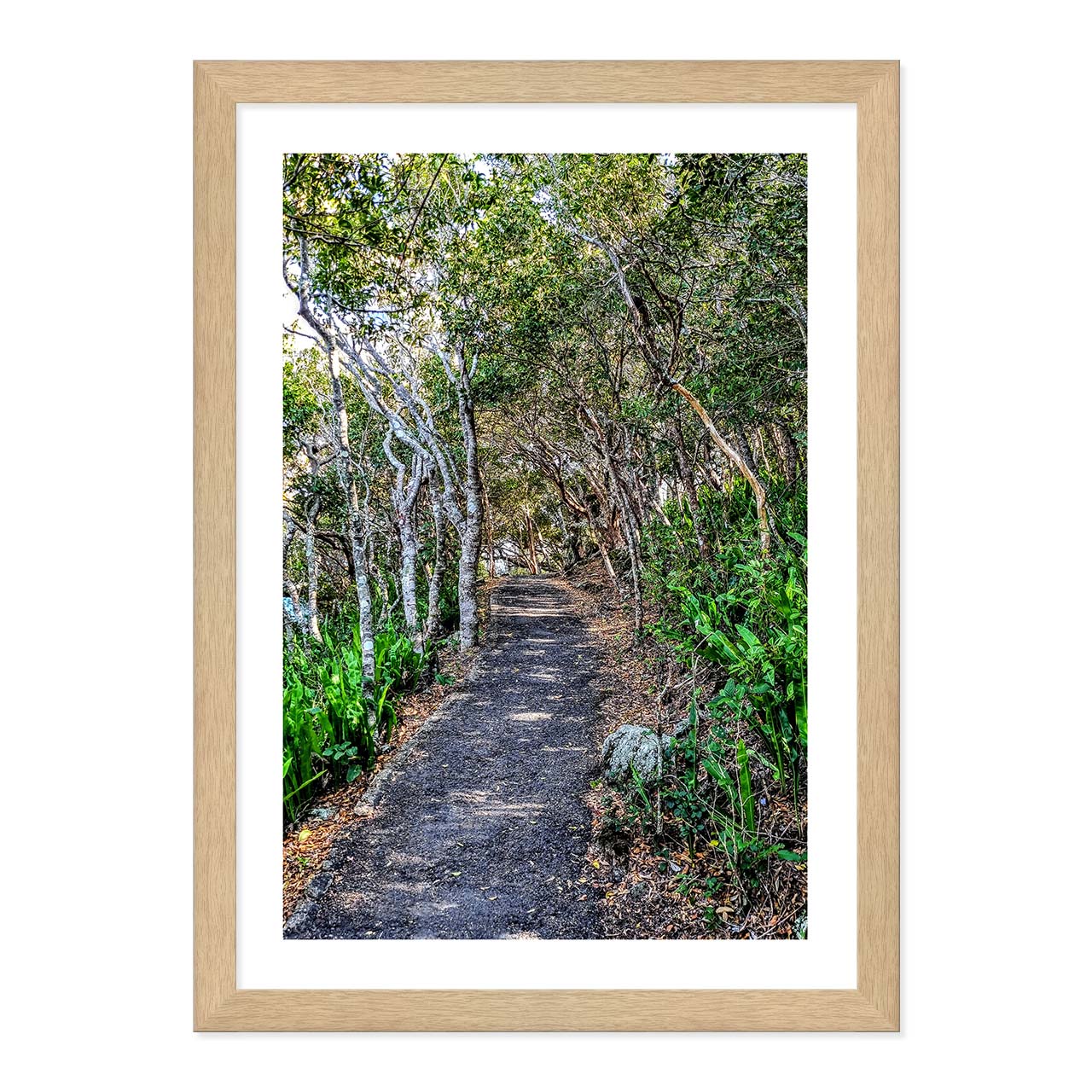 Whispering Path: Seventeen Seventy Nature Trail Framed Print